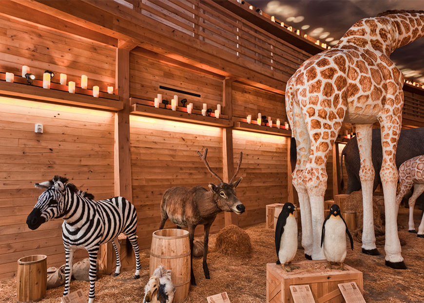 Noah's Ark Image #16