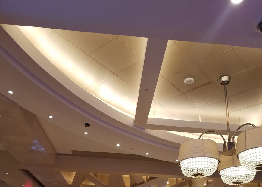 The Hard Rock Hotel Image #14